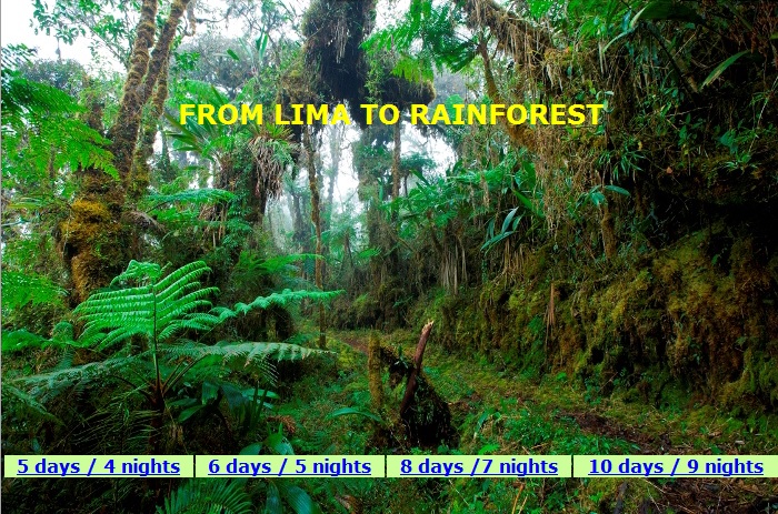 From Lima to Rainforest  www.perucycling.com